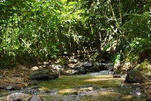 BIB: 
                            <button type="button" onclick="openModal(21851041)" class="btn btn-primary btn-sm float-right btn-popup" data-toggle="modal" data-target=".modal-high-quality">
                        <i class="fas fa-shopping-cart"></i> Add to Cart
                    </button>
                                            <button type="button" onclick="isThisMe(21851041, true)" class="btn btn-success btn-sm float-right btn-popup btn-isme hidden" data-toggle="tooltip" data-placement="bottom" title="นี่คือรูปของคุณใช่ไหม คลิกที่นี่เพื่อเอาเข้าอัลบั้ม">
                        <i class="fas fa-plus"></i> Add to album
                    </button>
                    <button type="button" onclick="isThisMe(21851041, false)" class="btn btn-warning btn-sm float-right btn-popup btn-isnotme hidden">
                        <i class="fas fa-ban"></i> Remove from album
                    </button>